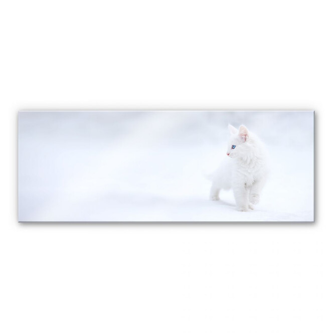 Acrylglasbild Prexus - Weisser als Schnee