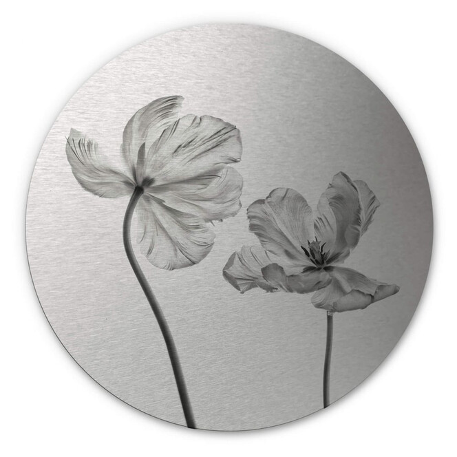 Alu-Dibond Bild mit Silbereffekt Grønkjær - Tulpenblüte - Rund