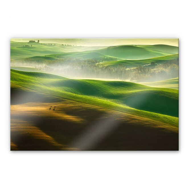 Acrylglasbild Browko - Grüne Wiesen