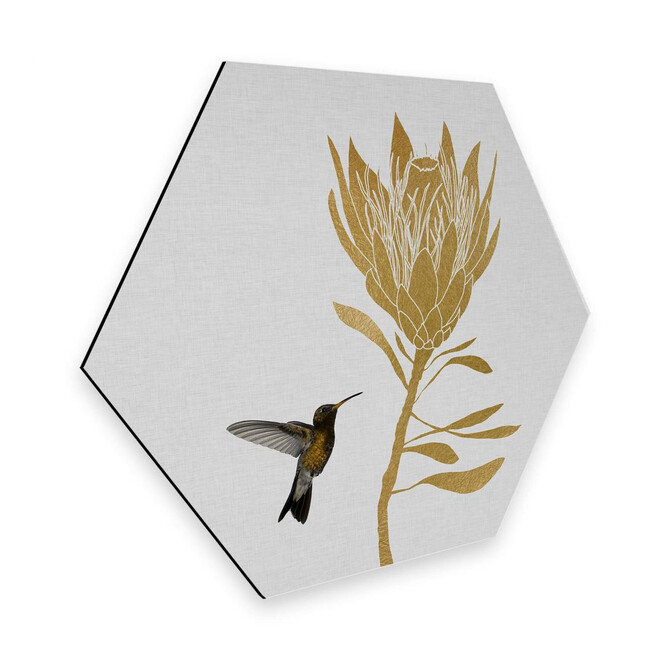 Hexagon - Alu-Dibond Orara Studio - Hummingbird and Flower - goldene Blume