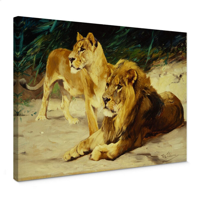 Leinwandbild Kuhnert - Löwenpaar