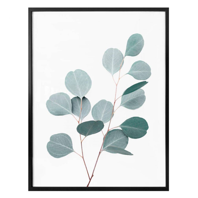 Poster Sisi & Seb - Blauer Eukalyptus