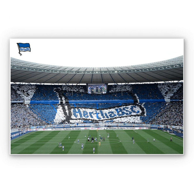 Wandbild Hertha BSC - Spielstart im Stadion