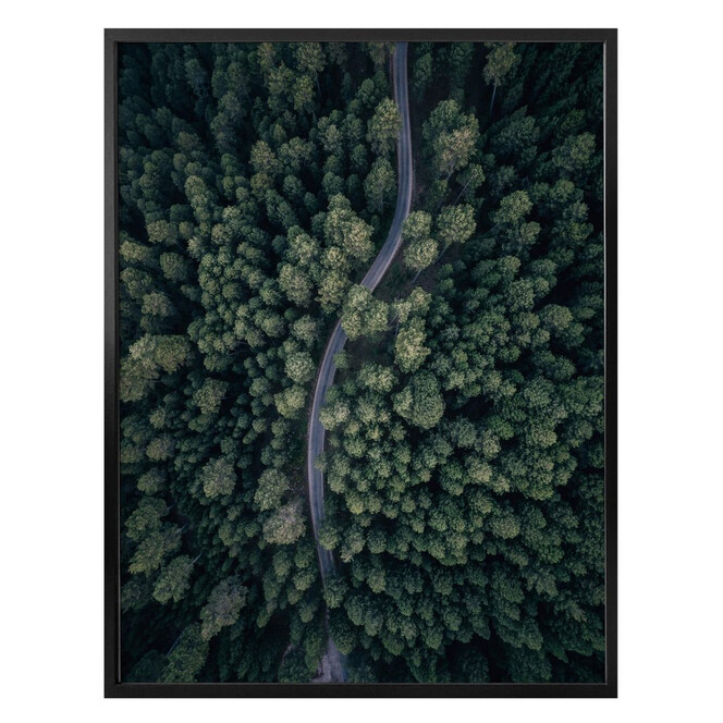 Poster Lopez - Der Blick von oben: Strasse im Wald