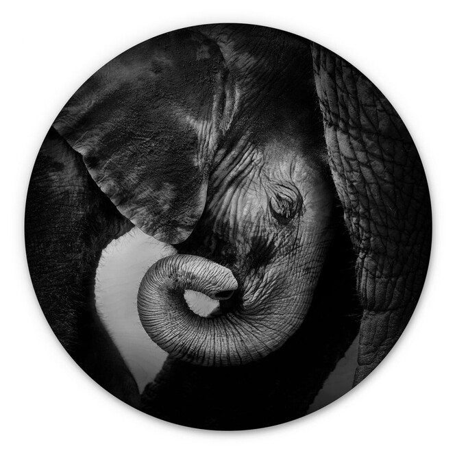 Holzbild - Das Elefantenbaby - Rund
