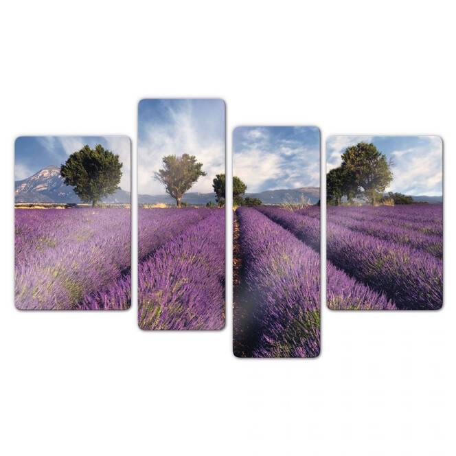 Glasbild Lavendelfeld (4-teilig)