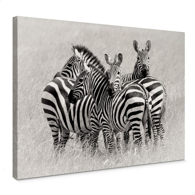 Leinwandbild Trubitsyn - Zebras in der Savanne