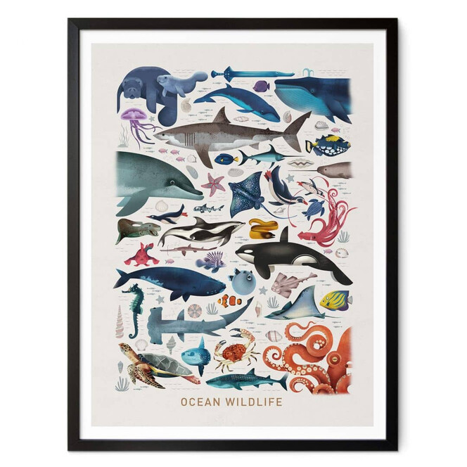 Poster Braun - Ocean Wildlife