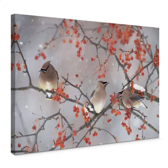 Leinwandbild Li - Drei Vögel in einer Winterlandschaft
