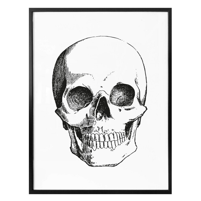 Poster - Human Skull