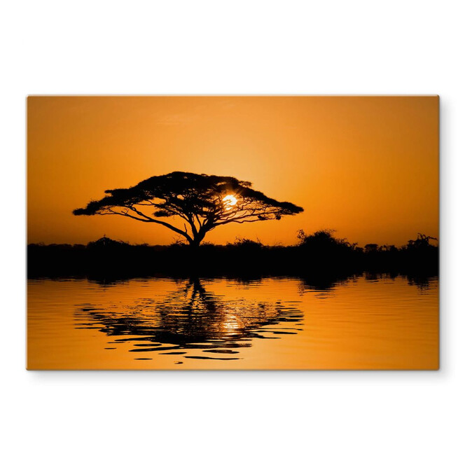 Glasbild Afrika