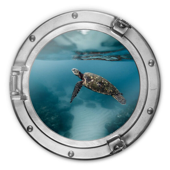 Glasbild rund 3D-Optik Bullauge - Schildkröte seitlich