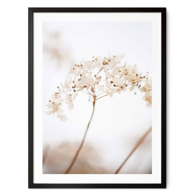 Poster 1X Studio - Zweig mit zarten Blüten