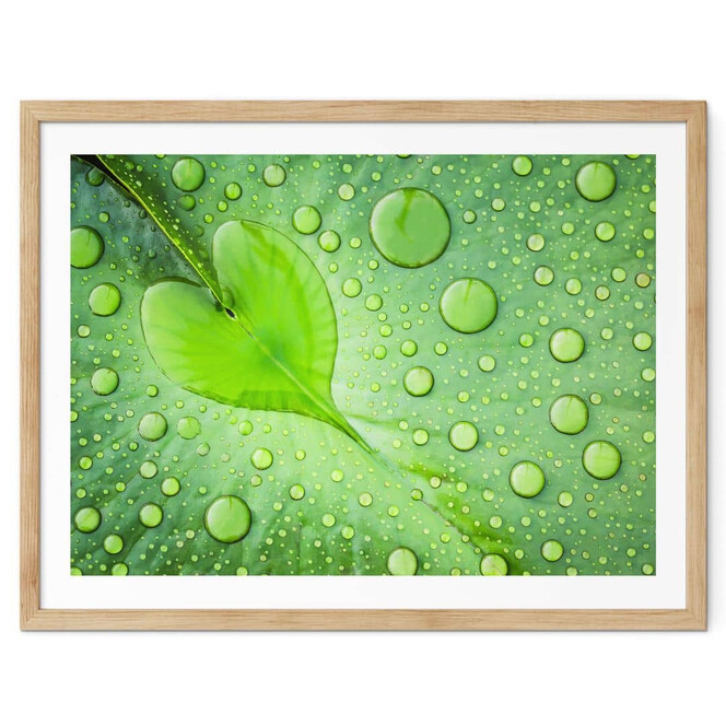 Poster Foto - Herz aus Wassertropfen auf grünem Blatt