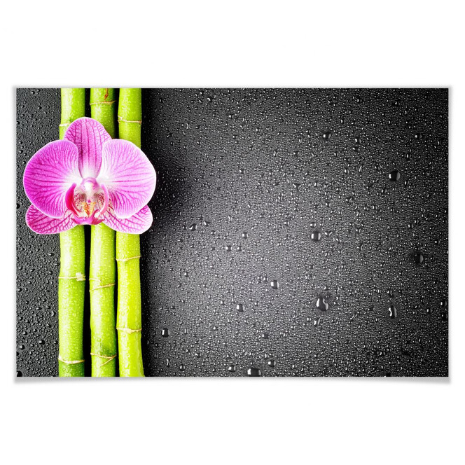 Poster Orchid and Bamboo
