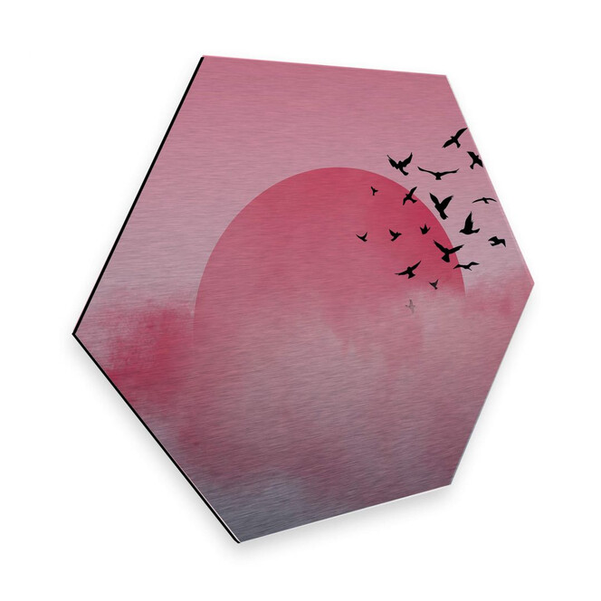 Hexagon - Alu-Dibond-Silbereffekt Nordic Creators - Pink Sunshine