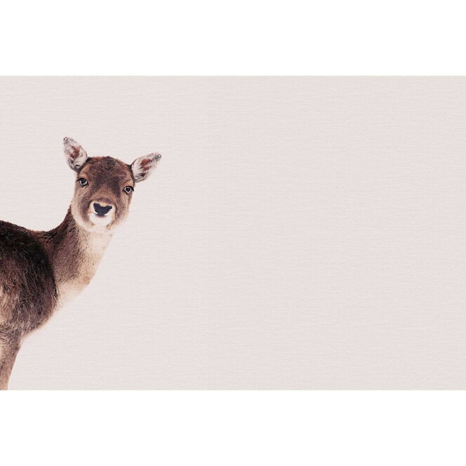 Livingwalls Fototapete ARTist Deer Rose mit Reh beige, braun - Bild 1