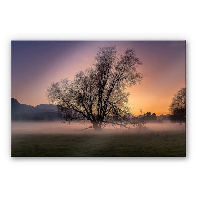 Acrylglasbild Cuadrado - The Fog