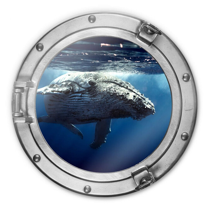 Glasbild rund 3D-Optik Bullauge - Buckelwal auf Tauchgang