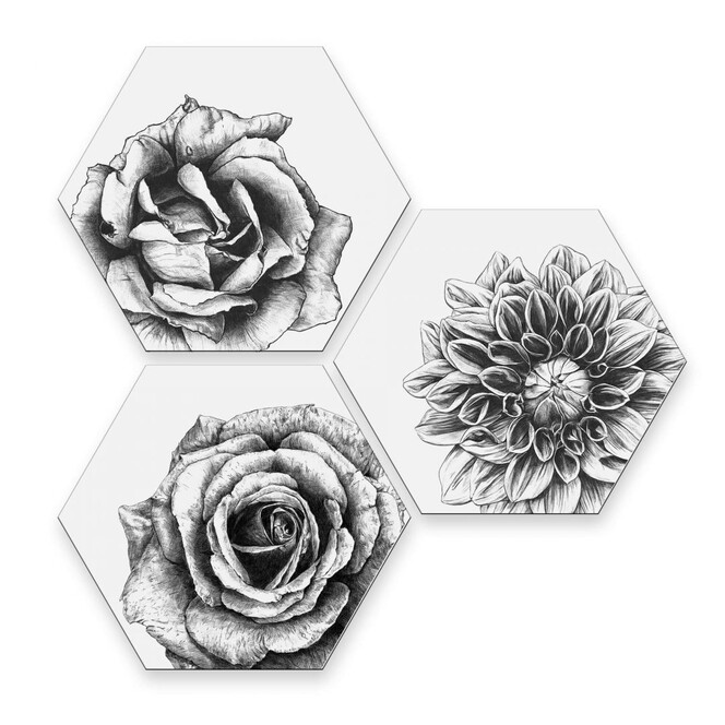 Hexagon - Alu-Dibond Kools - Flowery 3er Set