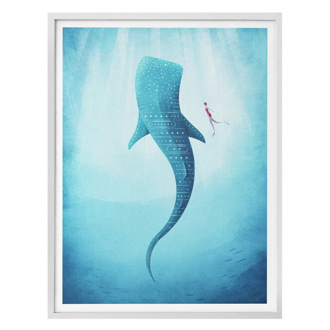 Poster Rivers - Der Walhai
