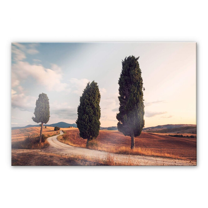 Acrylglasbild Colombo - Drei Zypressen am Weg