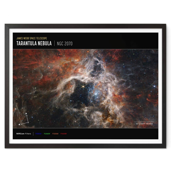 Poster James Webb Telescope - Tarantula Nebula Compass