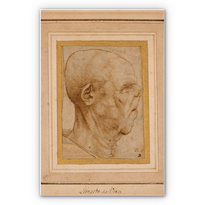 Hartschaumbild Da Vinci - Karrikatur eines Männerkopfes