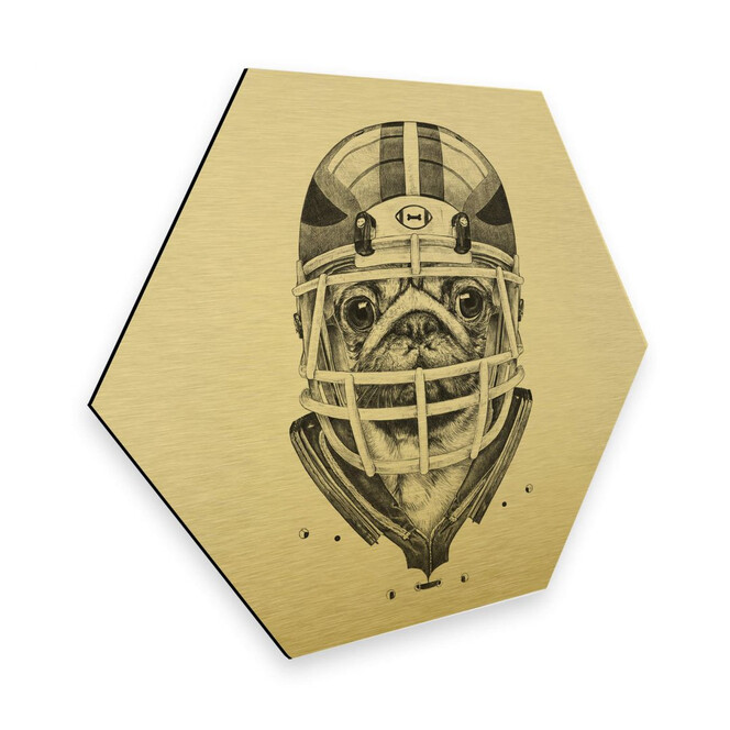 Hexagon - Alu-Dibond-Goldeffekt Kools - American Pug Football