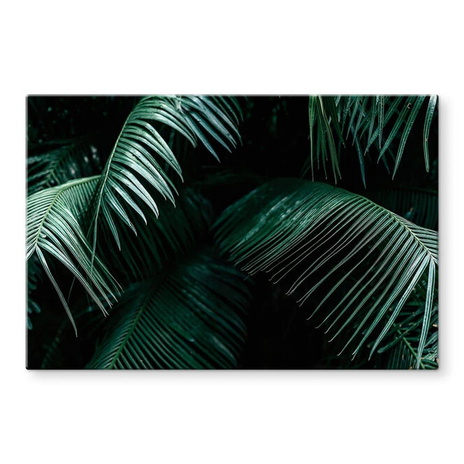 Glasbild Tropische Botanik