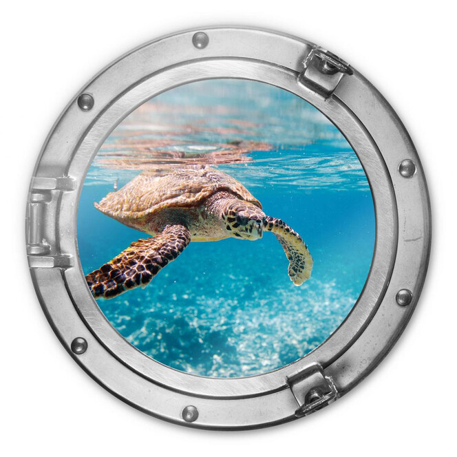 Glasbild 3D Optik Schildkröte auf Reisen - rund