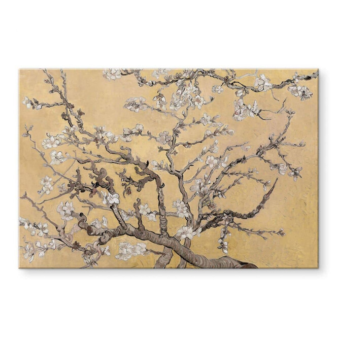 Acrylglasbild van Gogh - Mandelblüte Creme