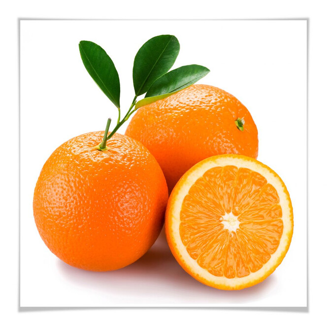 Poster Oranges