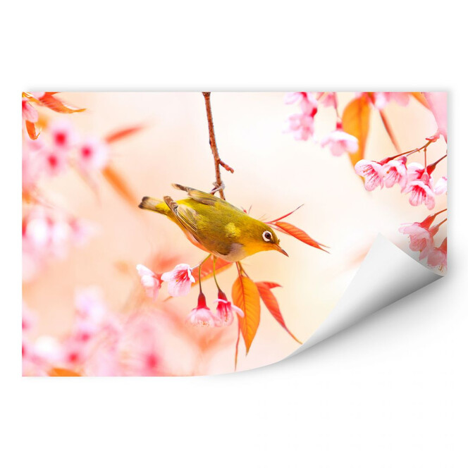 Wallprint Vogelgezwitscher in der Kirschblüte
