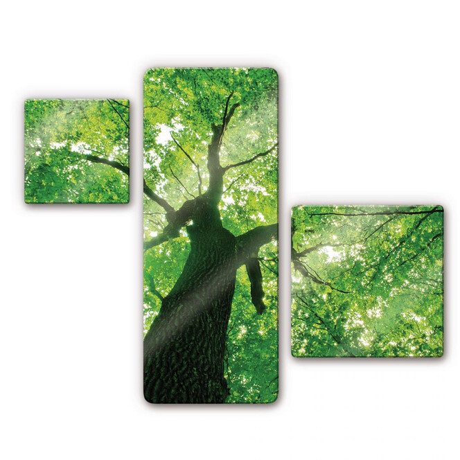 Glasbild Under the Trees (3-teilig)
