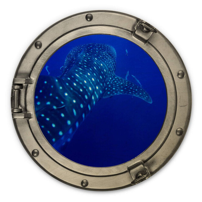 Holzbild 3D-Optik Bullauge - Der Walhai - Rund