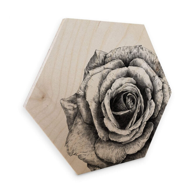 Hexagon - Holz Birke-Furnier Kools - Rose