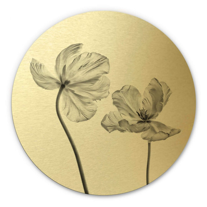 Alu-Dibond mit Goldeffekt Grønkjær - Tulpenblüte - Rund