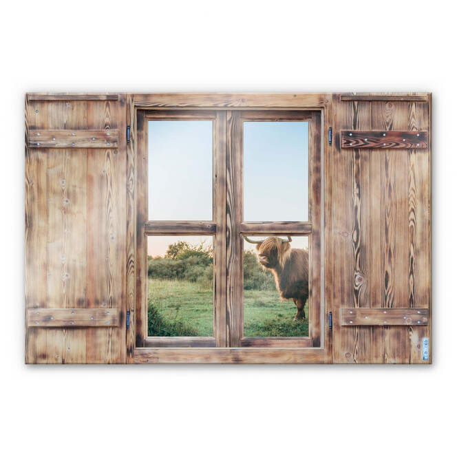 Glasbild 3D Holzfenster - Highland Cow 01