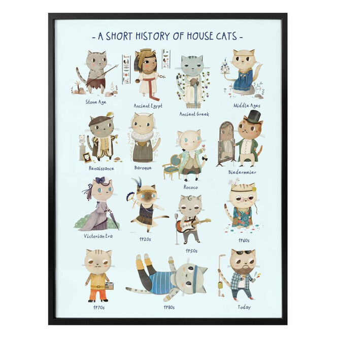Poster Loske - History of house cats