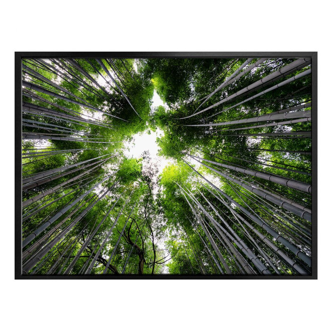 Poster Hugonnard - Wald in Japan