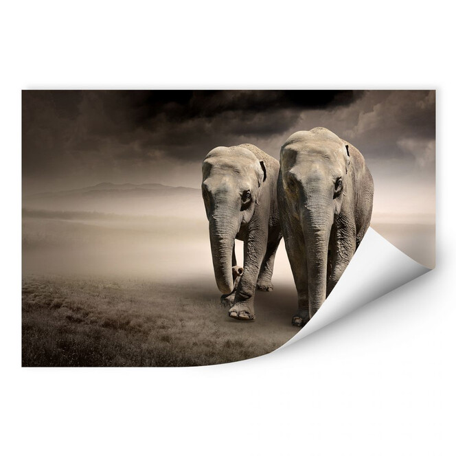 Wallprint Die Elefanten