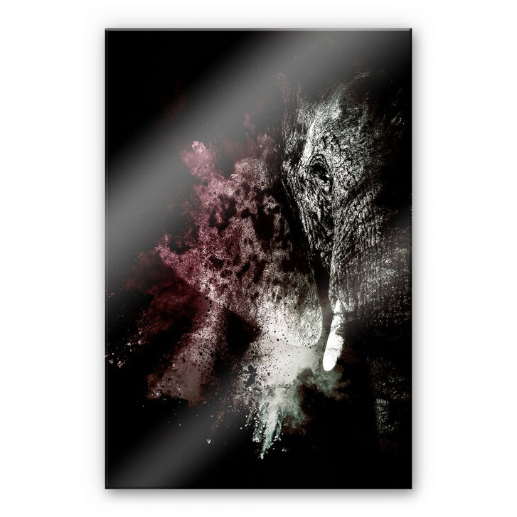 Acrylglasbild Hugonnard - Wild Explosion: Elefant 02 - WA269469