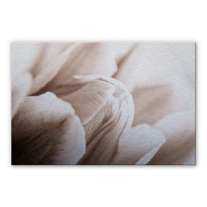 Alu-Dibond Bild Tulpe im Detail - WA112611