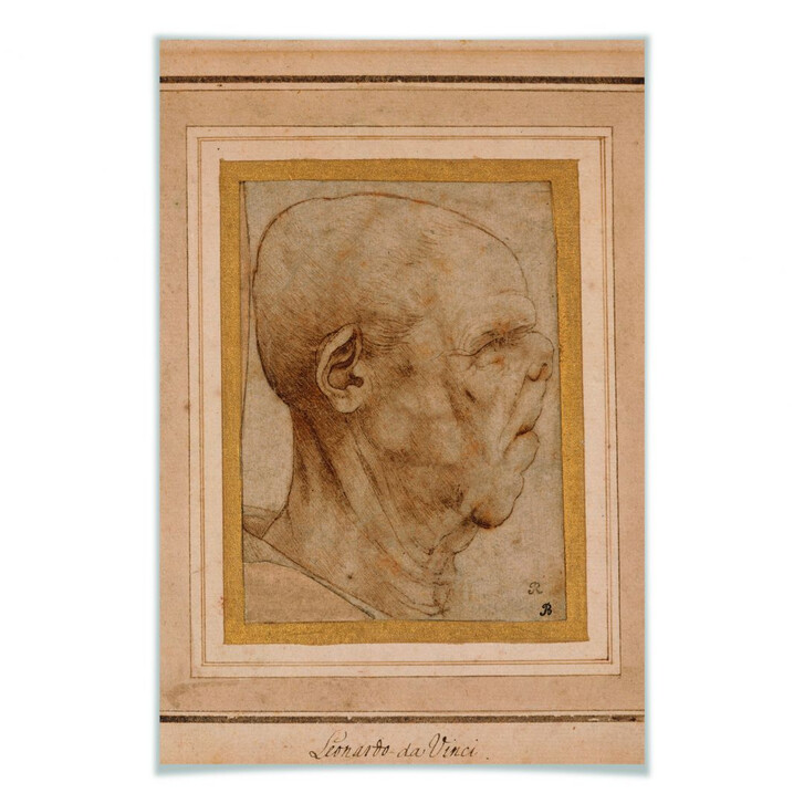 Poster da Vinci - Karikatur eines Männerkopfes im Profil - WA168764