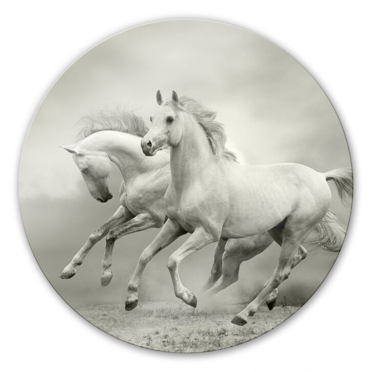Glasbild Pferde im Galopp - rund - WA126736
