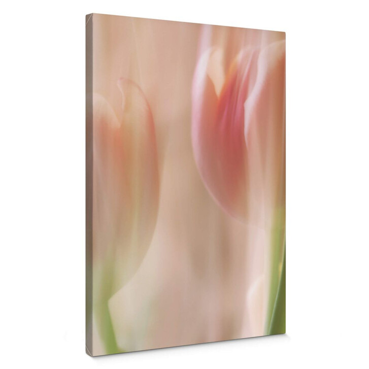 Leinwandbild Westum - Shy tulips - WA287017