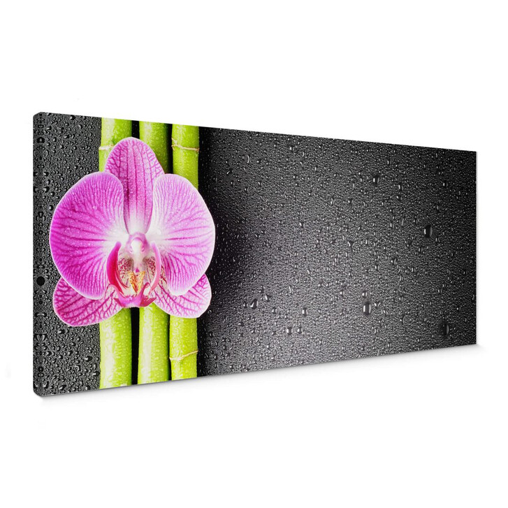 Leinwandbild Orchid and Bamboo - Panorama (horizontal) - WA143625