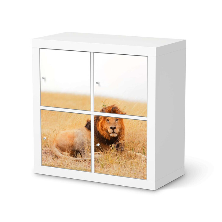Möbelfolie IKEA Expedit Regal 4 Türen - Lion King - CR114550