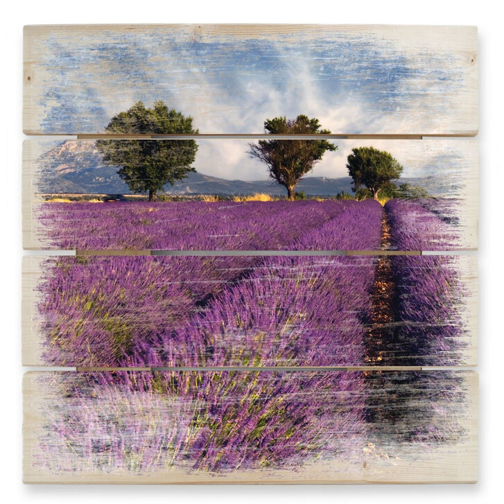 Holzbild Lavendelfeld - WA132176